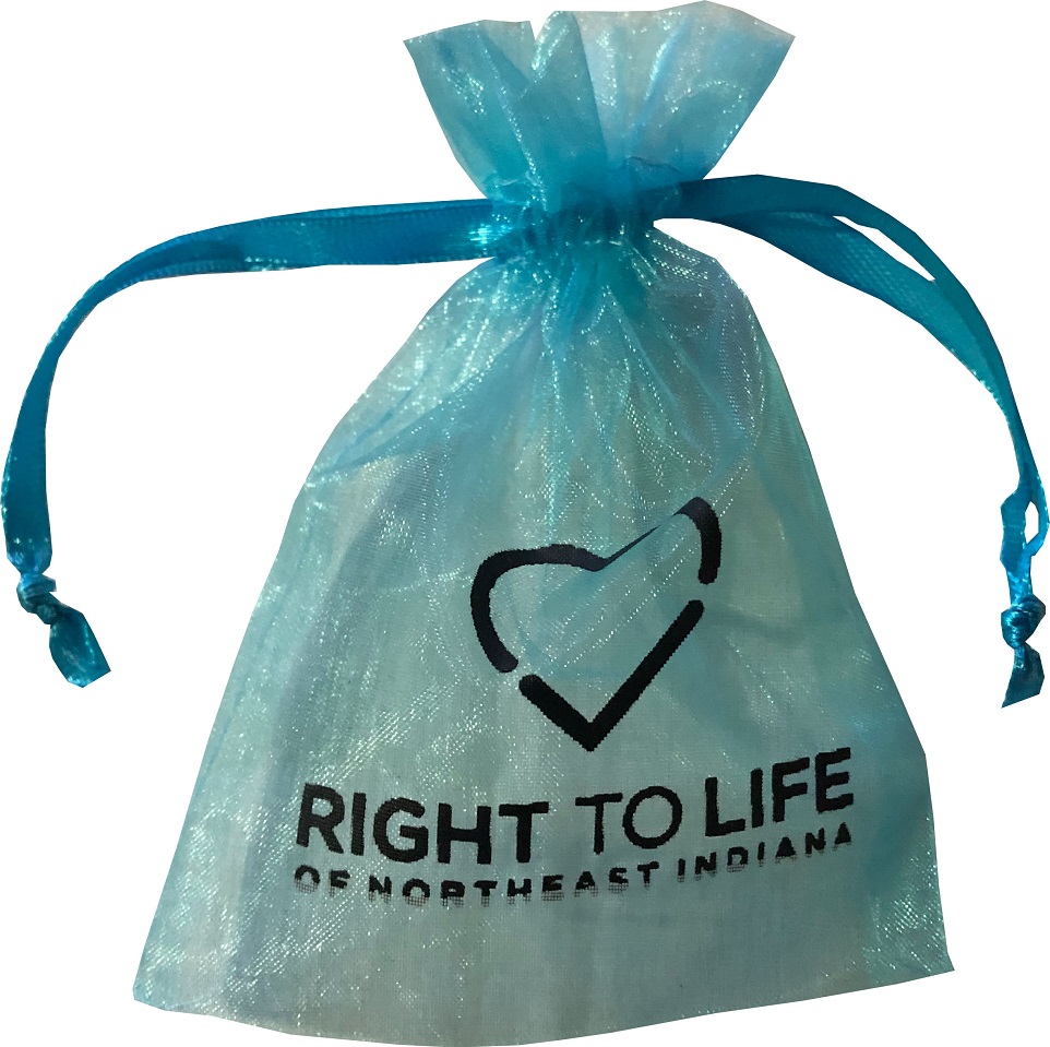 Printed turquoise organza bag Printed turquoise organza bag